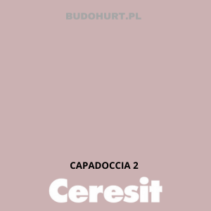 CT48 Farba silikonowa  CAPADOCCIA 2 gr.A 15l