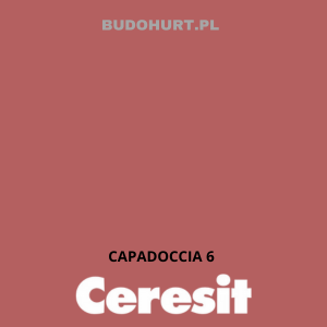 CT48 farba silikonowa CAPADOCCIA 6 gr.C 15L