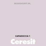 Tynk silikonowy CT74  CAPADOCCIA 1 gr.A 1,5mm 25kg