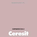 Tynk silikonowy CT74  CAPADOCCIA 2 gr.A 1,5mm 25kg