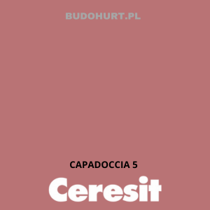 Tynk silikat-silikon CT174 MACHINE CAPADOCCIA 5 gr.B 1 mm 25kg