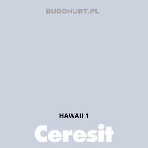 CT42 farba akrylowa HAWAII 1 gr.A/15L