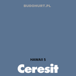 CT48 farba silikonowa HAWAII 5 gr.B 15L
