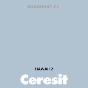 CT42 farba akrylowa HAWAII 2 gr.A/15L