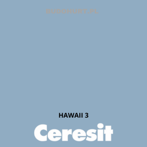 CT42 farba akrylowa HAWAII 3 gr.A/15L