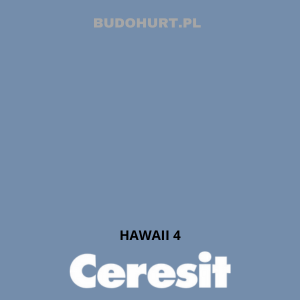 CT49 farba nanosilikonowa HAWAII 4 gr.A/15L