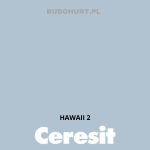 Tynk silikonowy CT74  HAWAII 2 gr.B 1,5mm 25kg