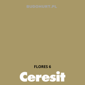 Tynk silikat-silikon CT174  FLORES 6  gr.C 1,5mm 25kg