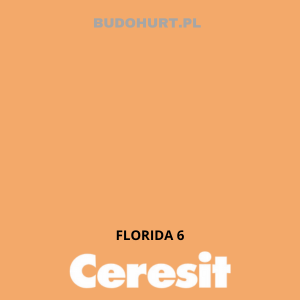 Tynk akrylowy CT60   FLORIDA 6 gr.D 1,5mm 25kg