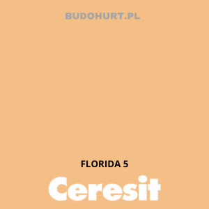 Tynk silikat-silikon CT174 MACHINE  FLORIDA 5 gr.C 1 mm 25kg