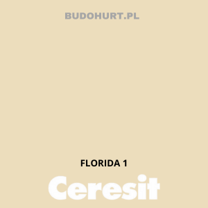 CT54 farba silikatowa  FLORIDA1 gr.A 15L