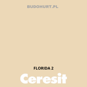 CT54 farba silikatowa  FLORIDA2 gr.A 15L