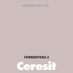 CT49 farba nanosilikonowa FORMENTERA 2 gr.A/15L