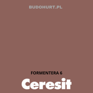 CT49 farba nanosilikonowa FORMENTERA 6 gr.A/15L