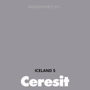 CT48 farba silikonowa ICELAND 5 gr.C 15L