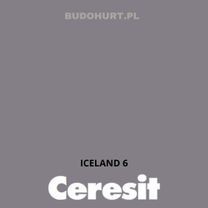 CT48 farba silikonowa ICELAND 6 gr.C 15L