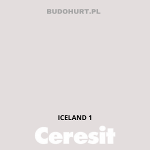 CT49 farba nanosilikonowa ICELAND 1 gr.A/15L