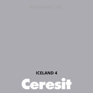 CT48 Farba silikonowa  ICELAND 4 gr.C 15l