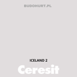 Tynk silikonowy CT74  ICELAND 2 gr.B 1,5mm 25kg