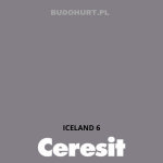 Tynk silikonowy CT74  ICELAND 6 gr.C 1,5mm 25kg