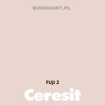 Tynk silikonowy CT74   FUJI 2 gr.A 1,5mm 25kg