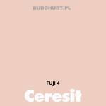 Tynk silikonowy CT74   FUJI 4 gr.A 1,5mm 25kg