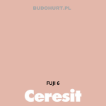 Tynk silikonowy CT74   FUJI 6 gr.A 1,5mm 25kg