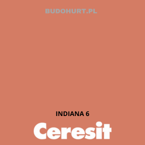 CT48 farba silikonowa INDIANA 6 gr.C 15L