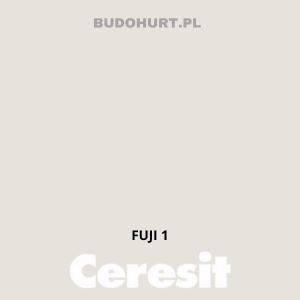 CT54 farba silikatowa  FUJI1 gr.A 15L