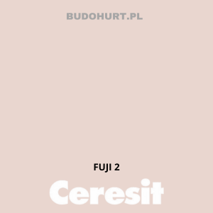 CT54 farba silikatowa  FUJI2 gr.A 15L