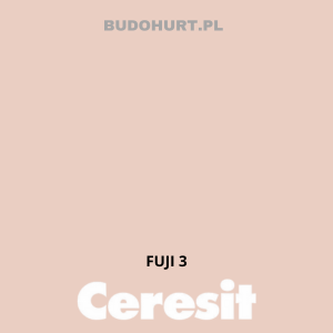 CT54 farba silikatowa  FUJI3 gr.A 15L