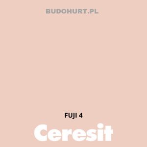 CT54 farba silikatowa  FUJI4 gr.A 15L