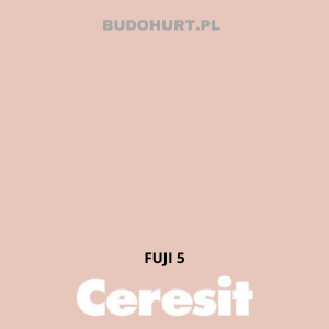 CT54 farba silikatowa  FUJI5 gr.A 15L