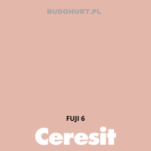 CT54 farba silikatowa  FUJI6 gr.A 15L