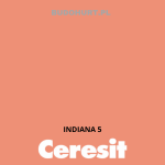 Tynk silikonowy CT74   INDIANA 5 gr.C 1,5mm 25kg