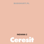 Tynk silikonowy CT74   INDIANA 2 gr.B 1,5mm 25kg