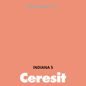 Tynk silikat-silikon CT174 MACHINE  INDIANA 5 gr.C 1 mm 25kg