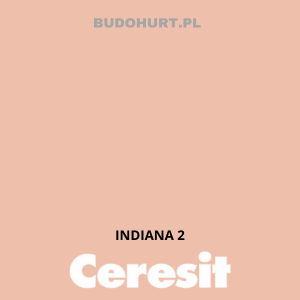 CT54 farba silikatowa  INDIANA2 gr.A 15L