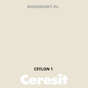 Tynk akrylowy CT60   CEYLON 1 gr.A 1,5mm 25kg