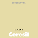 Tynk silikonowy CT74   CEYLON 3 gr.B 1,5mm 25kg