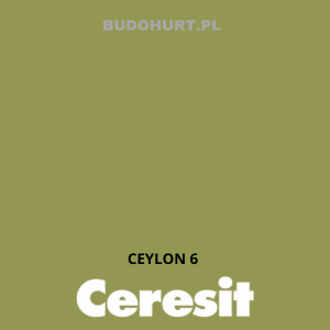 CT42 farba akrylowa  CEYLON 6 gr.A/15L