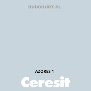 CT48 Farba silikonowa  AZORES 1 gr.B 15l