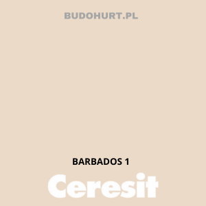 CT49 Farba nanosilikonowa BARBADOS 1 gr. A/15L