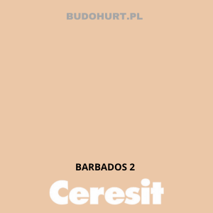 CT48 farba silikonowa  BARBADOS 2 gr.A 15L