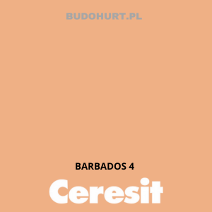 CT49 Farba nanosilikonowa BARBADOS 4 gr. A/15L