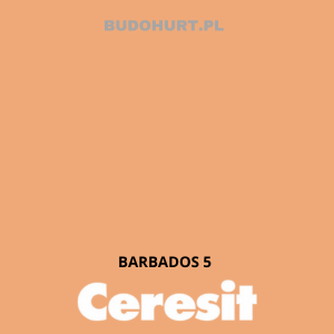 CT48 farba silikonowa  BARBADOS 5 gr.E 15L