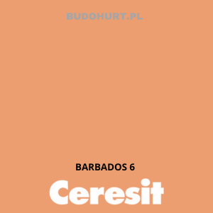 CT49 Farba nanosilikonowa BARBADOS 6 gr. A/15L