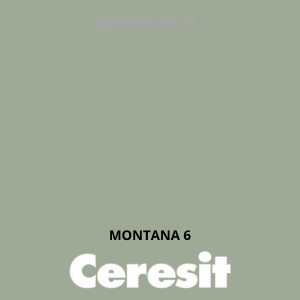 CT42 farba akrylowa  MONTANA 6 gr.A/15L