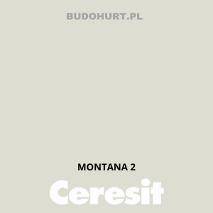 CT48 farba silikonowa  MONTANA 2 gr.A 15L