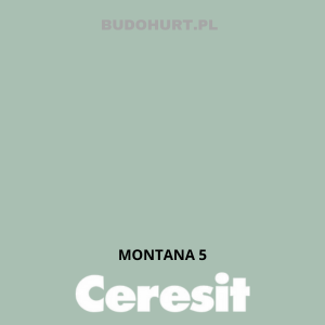 CT49 farba nanosilikonowa  MONTANA 5 gr.A/15L